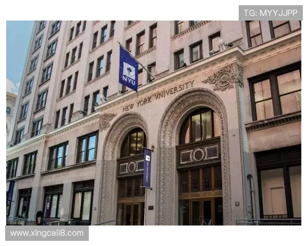 探索钻石赌城官网:尽享奢华游戏体验与精彩活动